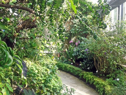 Botanischer Garten Botanischer Garten