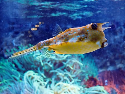Abtauchen in die Sommerferien im Zoo Leipzig Abtauchen in die Sommerferien im Zoo Leipzig