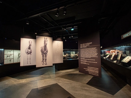 Neue Doppelausstellung der Universität Leipzig: Von der Schönheit und den Leiden der Pferde Neue Doppelausstellung der Universität Leipzig: Von der Schönheit und den Leiden der Pferde