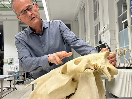 PARTNER PFERD: Geballtes Wissen mit Forum PFERD und Forum AUSSTELLER auf der Leipziger Messe