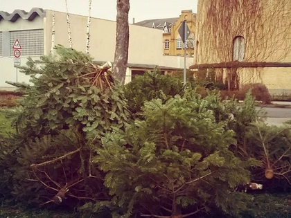 Ablagestellen für Weihnachtsbäume in Leipzig