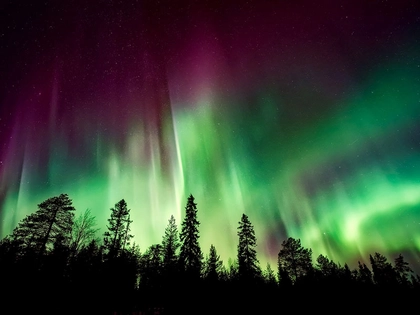 Polarleuchten am Naturkundemuseum Leipzig