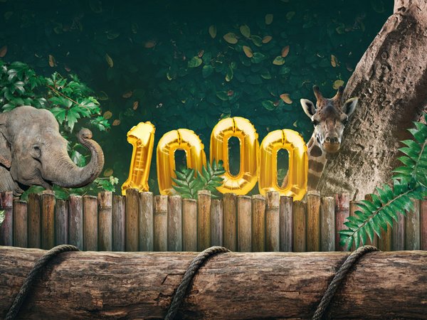 Elefant, Tiger & Co: 1000. Sendung, Foto: MDR
