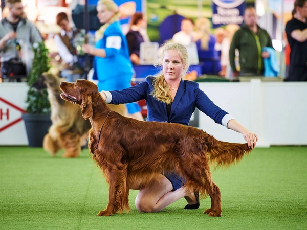 Messe Hund & Katz, Foto: E. Reinsch Messe Hund & Katz, Foto: E. Reinsch