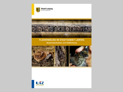 Leipziger Wildpark zeigt neue Ausstellung: Fledermaus komm ins Haus