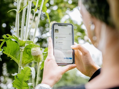 Deutschlandweiter Wettbewerb zur Artenvielfalt im Jahr 2022