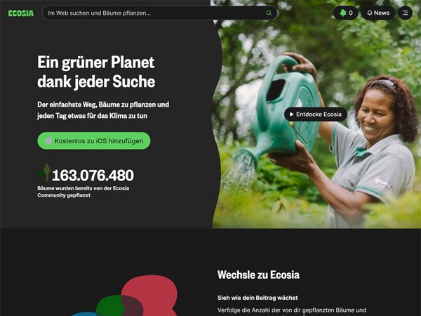 Ecosia: Die Suchmaschine, die Bäume pflanzt