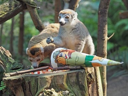 Schulanfänger-Wochenende im Zoo Leipzig Schulanfänger-Wochenende im Zoo Leipzig