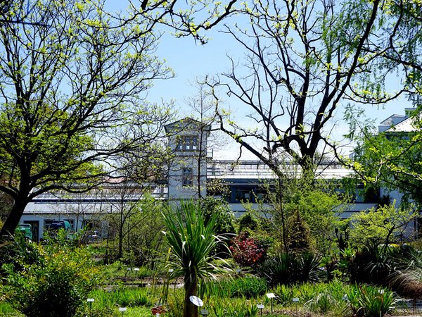 Wiedereröffnung des Freilandes im Botanischen Garten, Foto: Botanischer Garten Leipzig