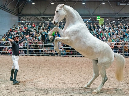 Die 26. PARTNER PFERD auf der Leipziger Messe steht in den Startlöchern