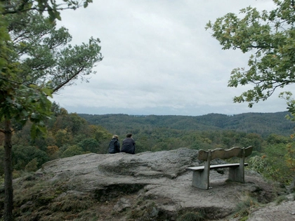 Leipzigpremiere Dokumentarfilm "Blätterdach" in der Cinémathèque Leipzig