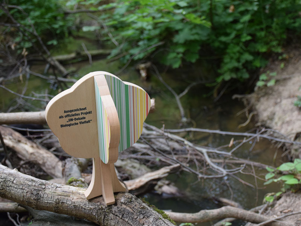 Auszeichnung am Burgauenbach, Foto: Karolin Tischer