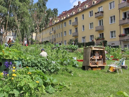 Zeitgeschichtliches Forum Leipzig zeigt als Film des Monats „Wenn ein Garten wächst“
