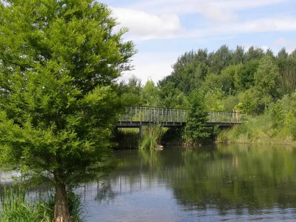 Arboretum Cospuden, Foto: Stadt Leipzig