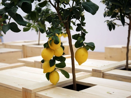 Umfangreiche Werkschau von Yoko Ono in Leipzig