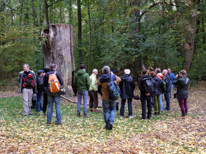 Naturschützer und Wissenschaftler führen Leipziger Stadträte durch den Auwald