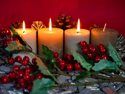 Weihnachtliche Dekoration selbst gestalten beim Adventsbasteln im Botanischen Lehrgarten des Schulbiologiezentrums Leipzig
