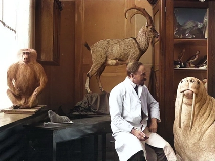 Es gibt MEER zu sehen im Naturkundemuseum Leipzig