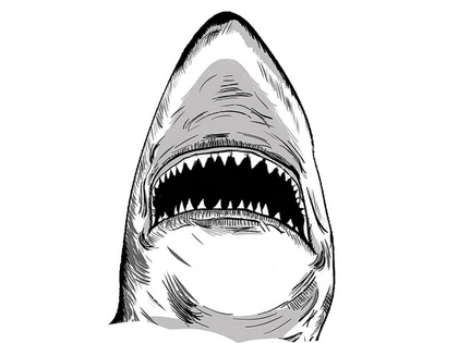 Direktor des Naturkundemuseums Leipzig veröffentlicht neue Studienergebnisse