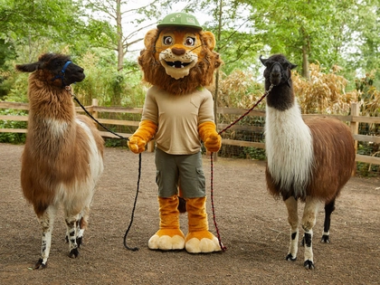 Nikolaustag im Zoo Leipzig Nikolaustag im Zoo Leipzig