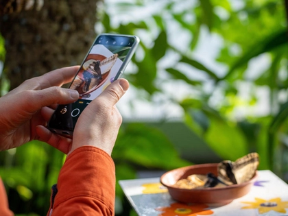 Radwanderkino durch Leipzig zum Internationalen Tag der biologischen Vielfalt