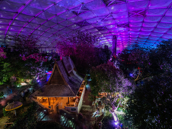 Szenische Lichtspiele beim Magischen Tropenleuchten, Foto: Zoo Leipzig