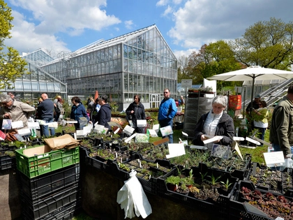Leipziger Frühjahrspflanzenmarkt im Botanischen Garten