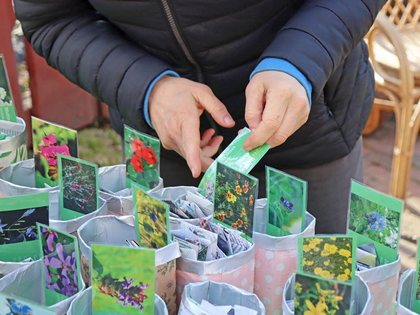 Verschenke- und Tauschmarkt für Saatgut und Pflanzen im Stadtgarten Connewitz