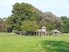 Wildpark, Quelle: 