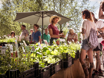 Leipziger Umwelttage mit über 100 Veranstaltungen zu Umwelt, Nachhaltigkeit und Naturschutz