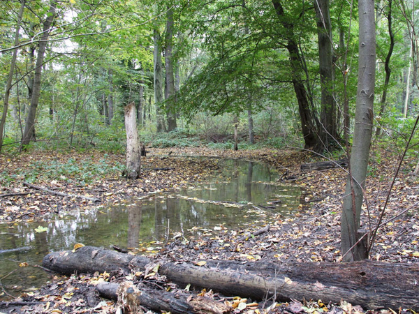 Burgauenbach, Foto: NABU Leipzig