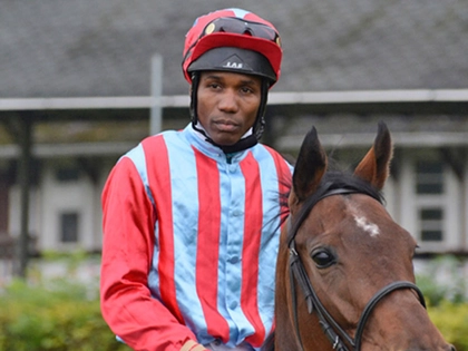 Derby-Sieger kommt zum Sommernachtsrenntag in das Leipziger Scheibenholz