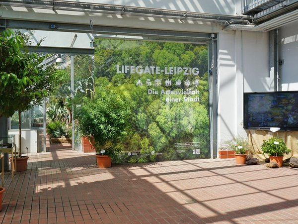 Ausstellung: LifeGate Leipzig, Foto: Botanischer Garten