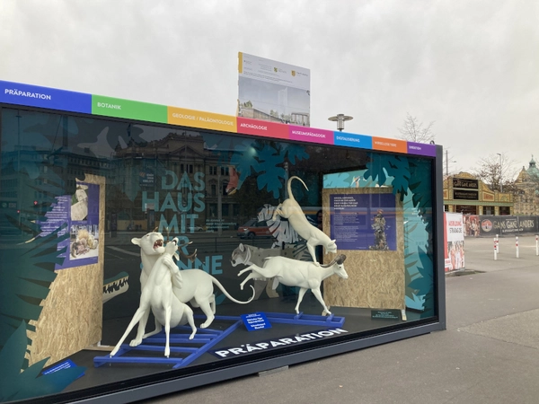 Gläserner Ausstellungscontainer begleitet Umzug des Naturkundemuseum, Foto: Stadt Leipzig