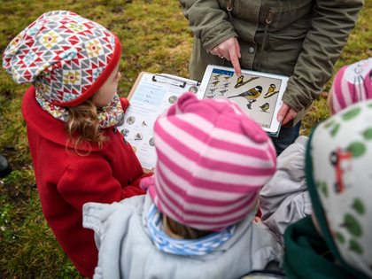 Zwischenergebnis zur „Stunde der Wintervögel“ in Leipzig