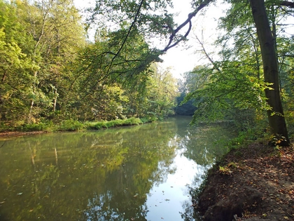 Projekt "Lebendige Luppe" informiert in der Auwaldstation über Neuigkeiten Projekt "Lebendige Luppe" informiert in der Auwaldstation über Neuigkeiten