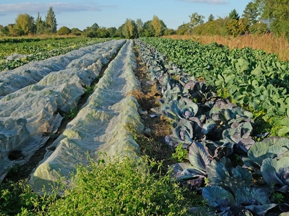 BUND Leipzig veranstaltet Podiumsdiskussion zum Landwirtschaftskonzept der Stadt Leipzig