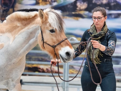 PARTNER PFERD 2026: Ticketvorverkauf gestartet