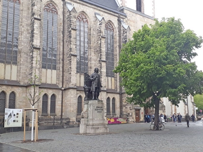 Baumpatenschaft für die neue Linde auf dem Thomaskirchhof
