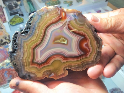 Leipziger Mineralien- und Fossilienbörse im Ring-Café