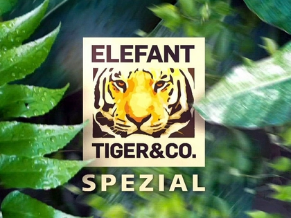 20 Jahre „Elefant, Tiger & Co.“ aus dem Zoo Leipzig