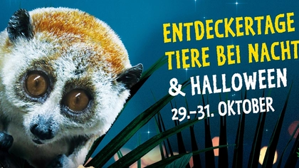 Entdeckertage Tiere bei Nacht im Zoo Leipzig Entdeckertage Tiere bei Nacht im Zoo Leipzig