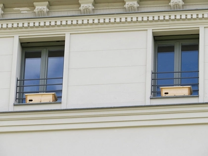 Gebäudebrüter-Infotag in der Leipziger Auwaldstation Gebäudebrüter-Infotag in der Leipziger Auwaldstation