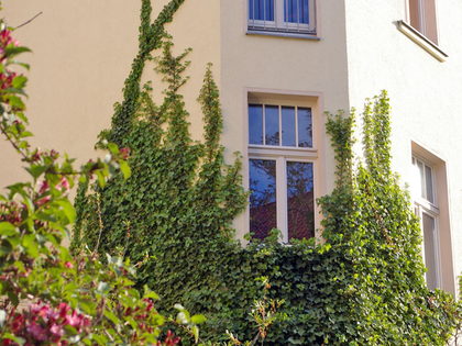 Kletterfix - Grüne Wände für Leipzig gestartet