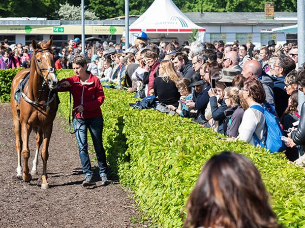 Aufgalopp im Leipziger Scheibenholz, Foto: Leipziger Messe