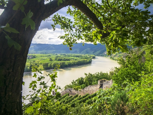 Donau, Foto: pixabay.com / vrolanas