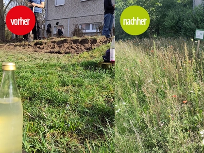 Projekt „Grüne Höfe“ der BUND Regionalgruppe Leipzig geht in finale Phase