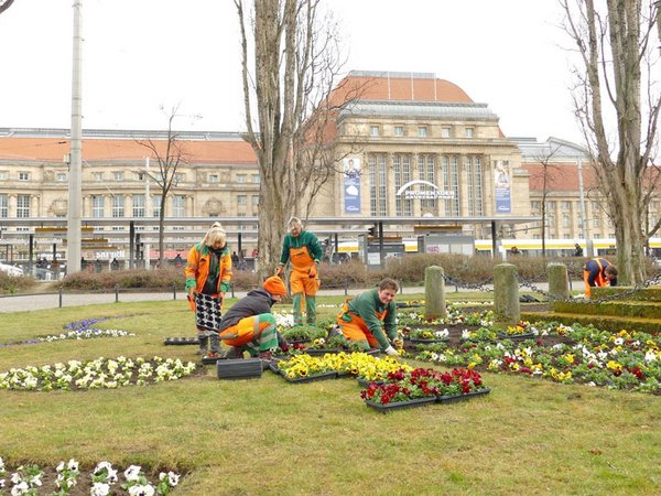 Gärtnerinnen und Gärtner der Stadtreinigung starten die Pflanzung der Frühblüher in der Innenstadt, Foto: Stadtreinigung Leipzig