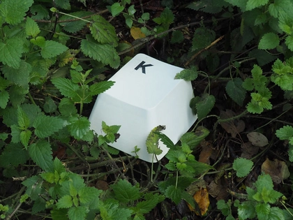 Sprechen und Sprache im Fokus der neuen Ausstellung im D21 Kunstraum Leipzig