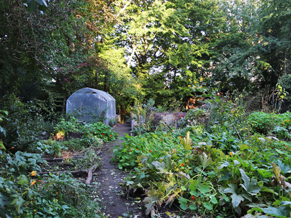 Leipziger Ökolöwen eröffnen die Stadtgartensaison 2022